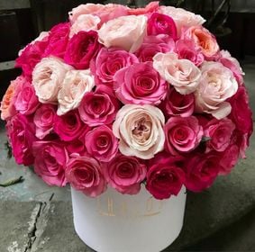 Box Grande Rosa Inglesa y Rosa