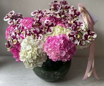 Pecera Hortencias y Orquídeas