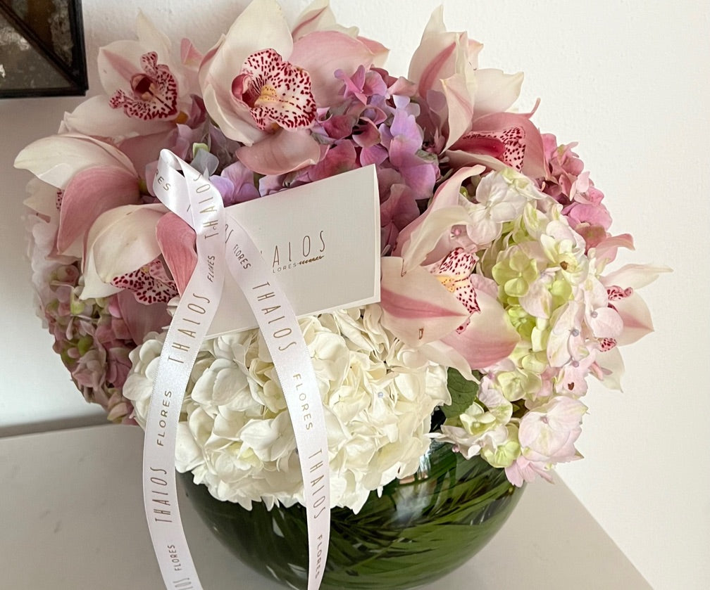 Pecera Hortensias y Cymbadium