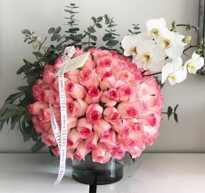 Media Esfera Highlander + Orquídea