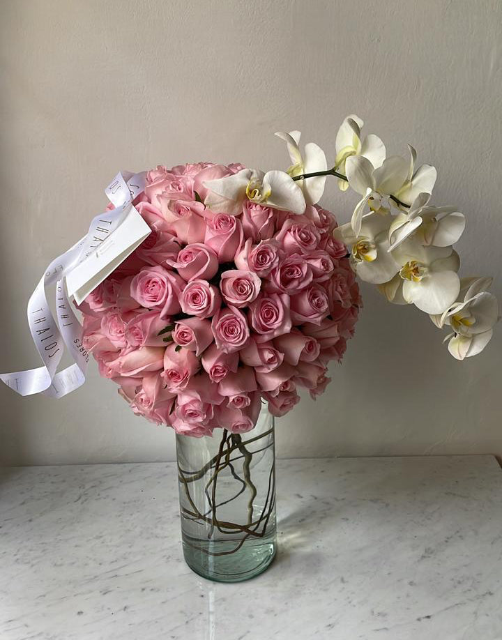 Esfera caricia + orquídea