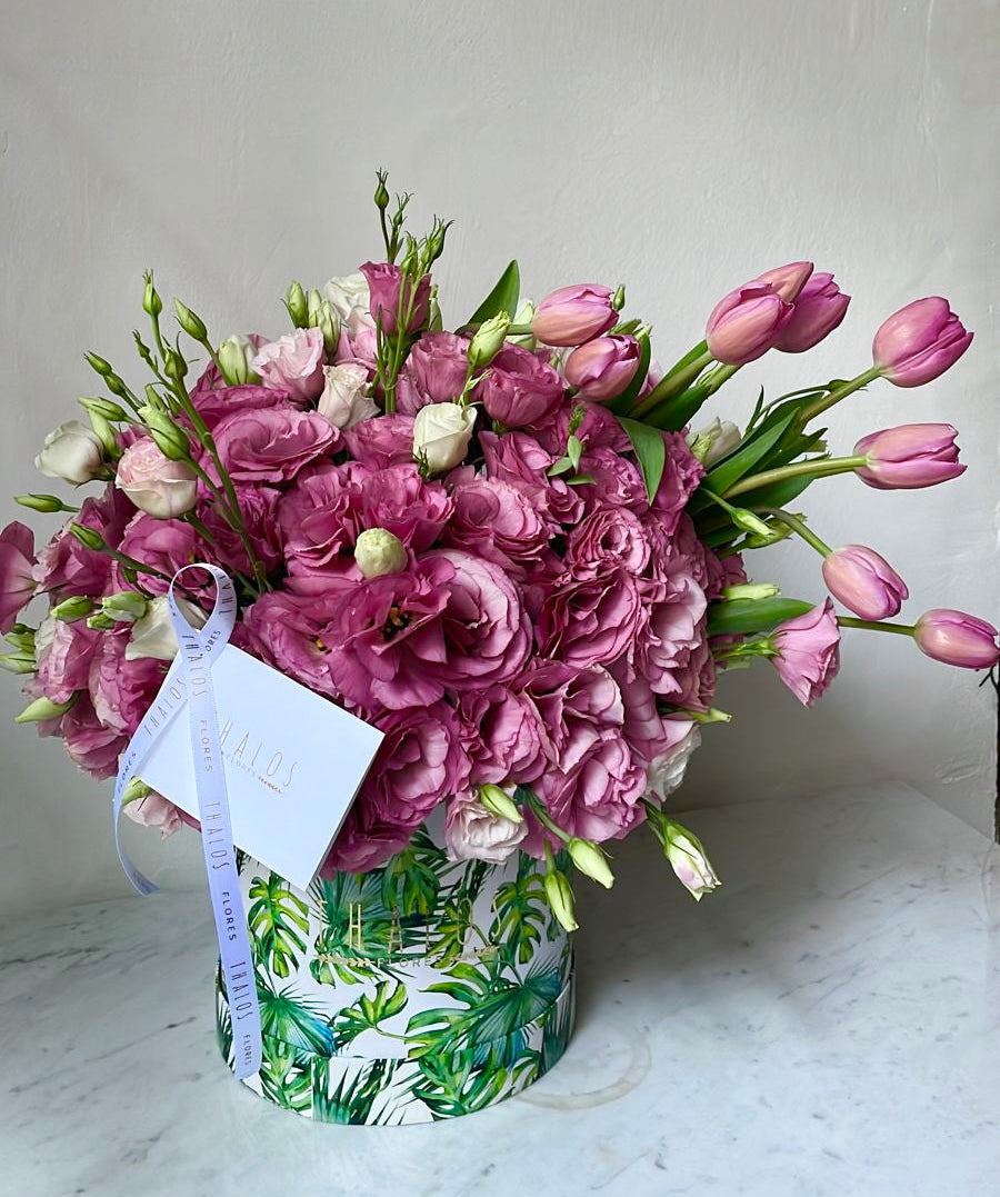 Box Selva Grande lisianthus y tulipanes