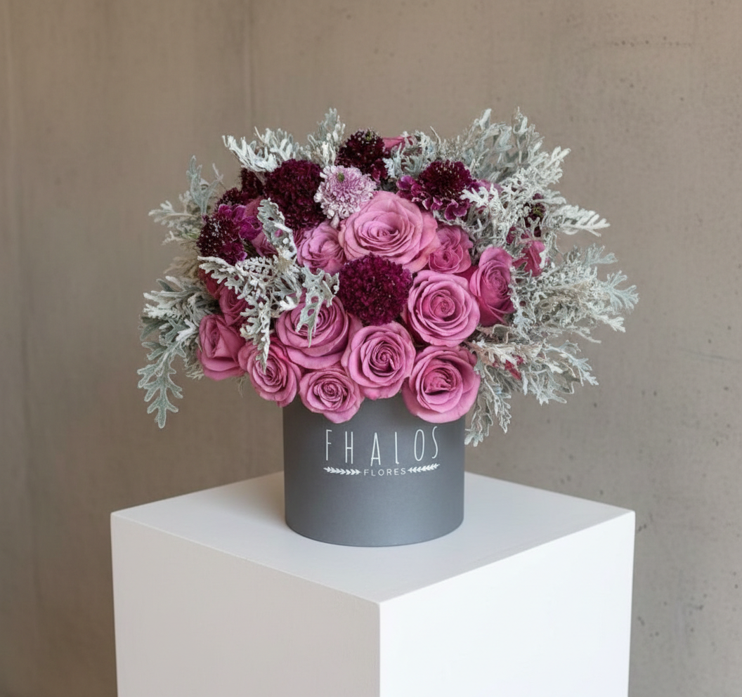 Box Gris Mediano Dusty