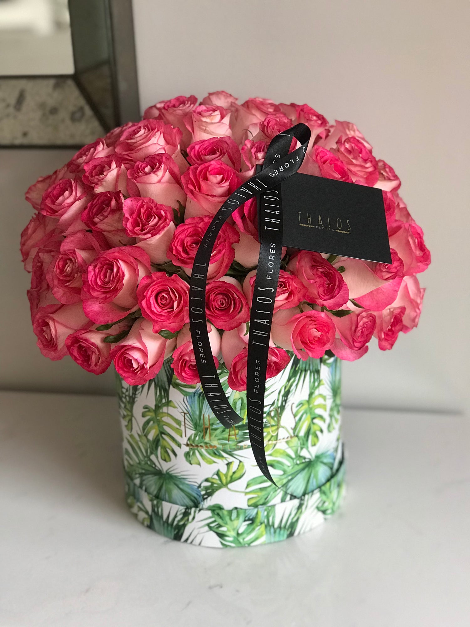 Box Selva Grande Highlander