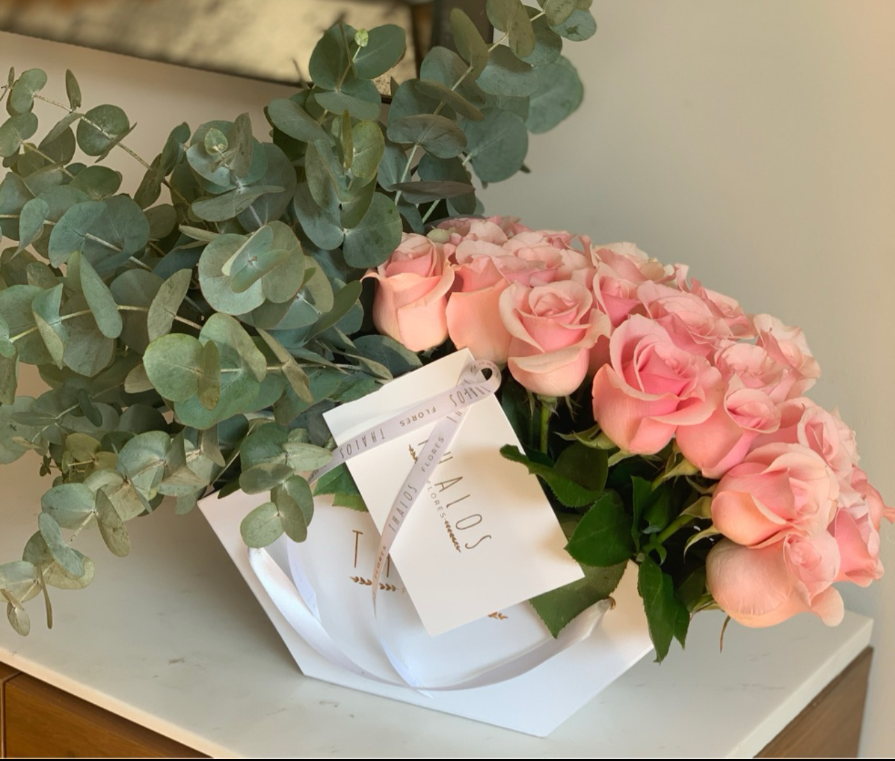 Medio Abanico Caricia