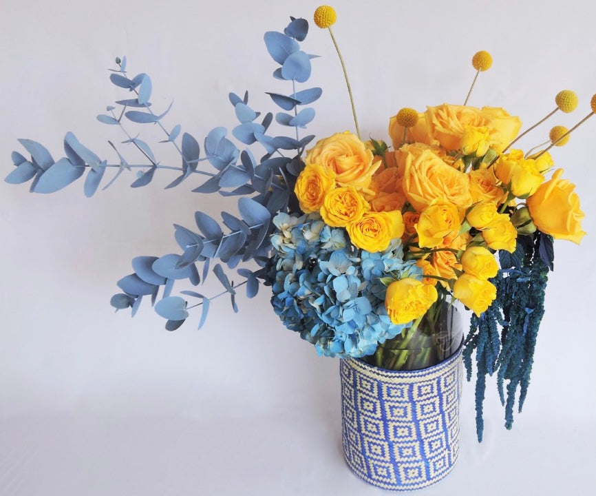 Palma cuadros azul Craspedia