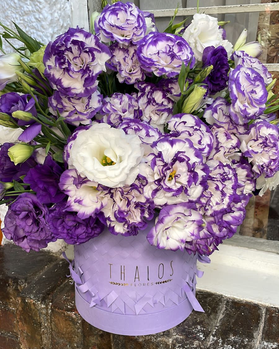 Box Tejido Lila Grande lisianthus