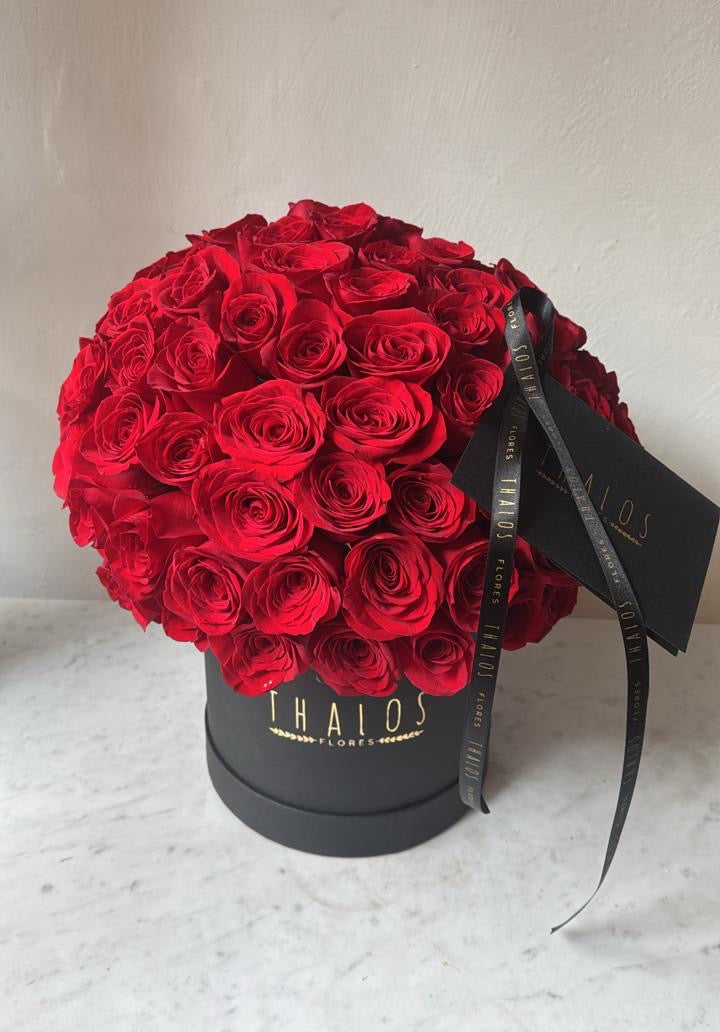 Box Negro Grande Rosas Rojas