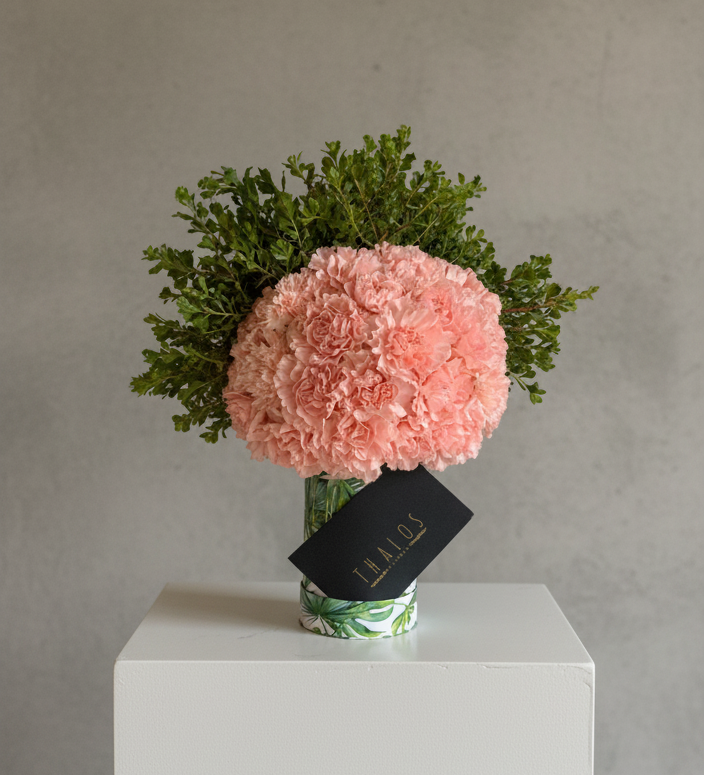 Box Selva Chico Clavel