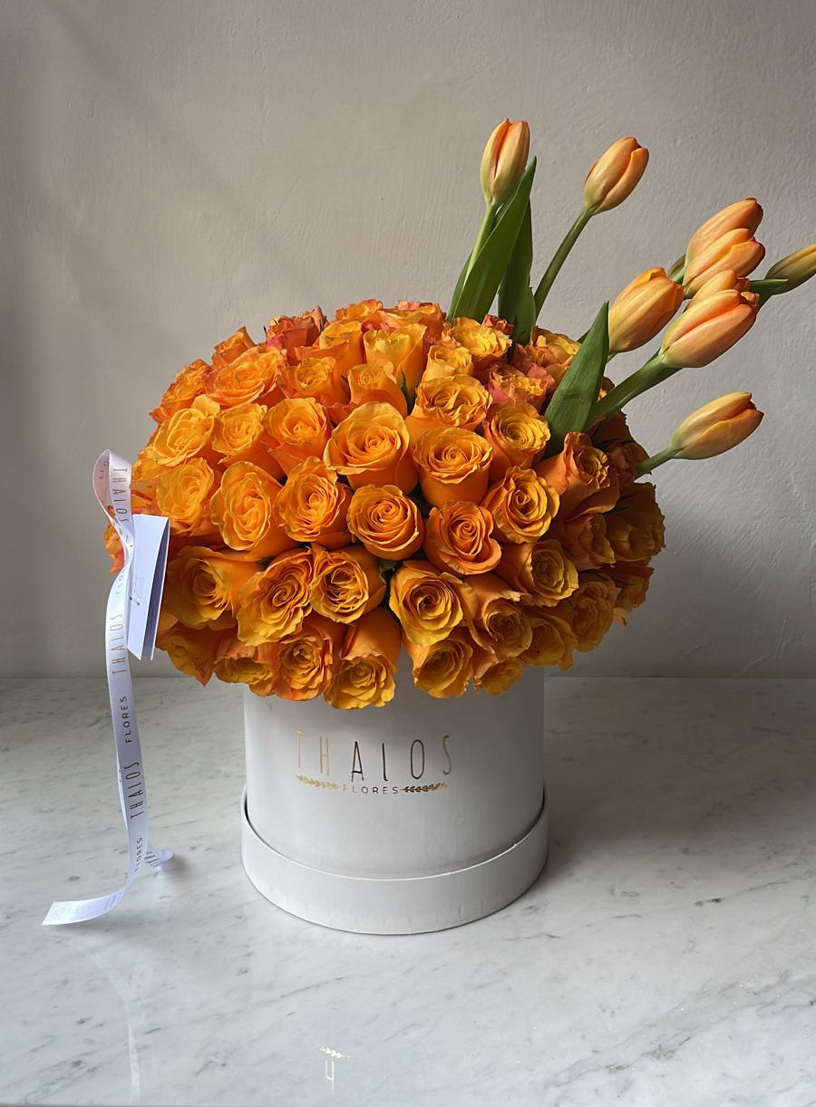 Box Blanco Grande Naranja