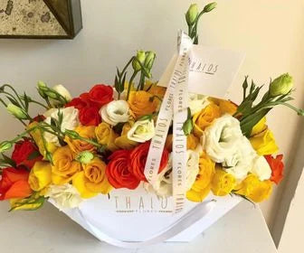 Abanico blanco amarillos