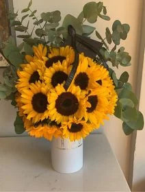 Box Chico Medio Circular Girasol