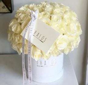 Box Grande 100 Rosas Blancas