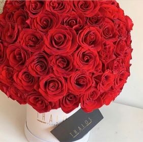 Box Grande 200 Rosas Rojas