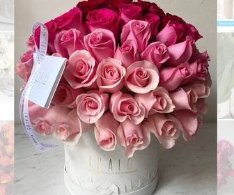 Box Grande Difuminado Rosas