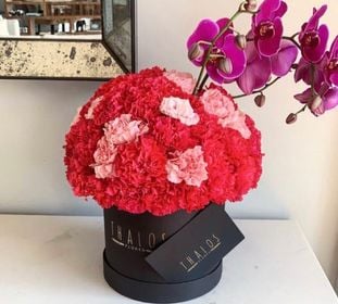 Box Grande Clavel Rojo y Orquídeas