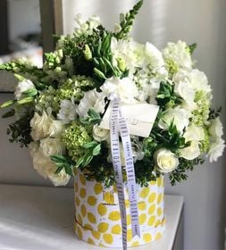 Box Grande Mix Verde y Blanco