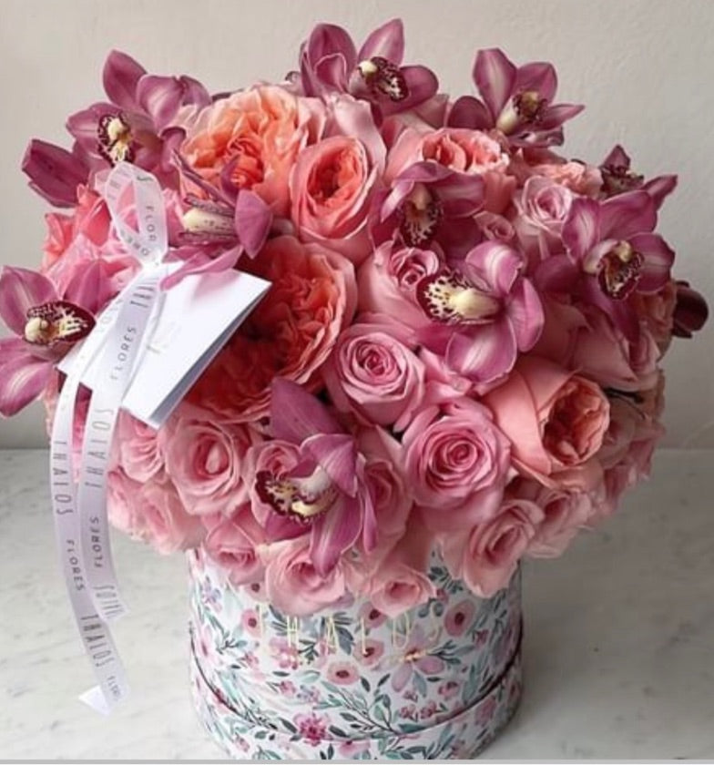 Box Grande Rosa Inglesa y Cymbadium