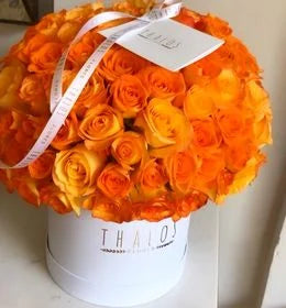 Box Grande Rosa Naranja