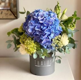 Box Mediano Mix Azul y Verde