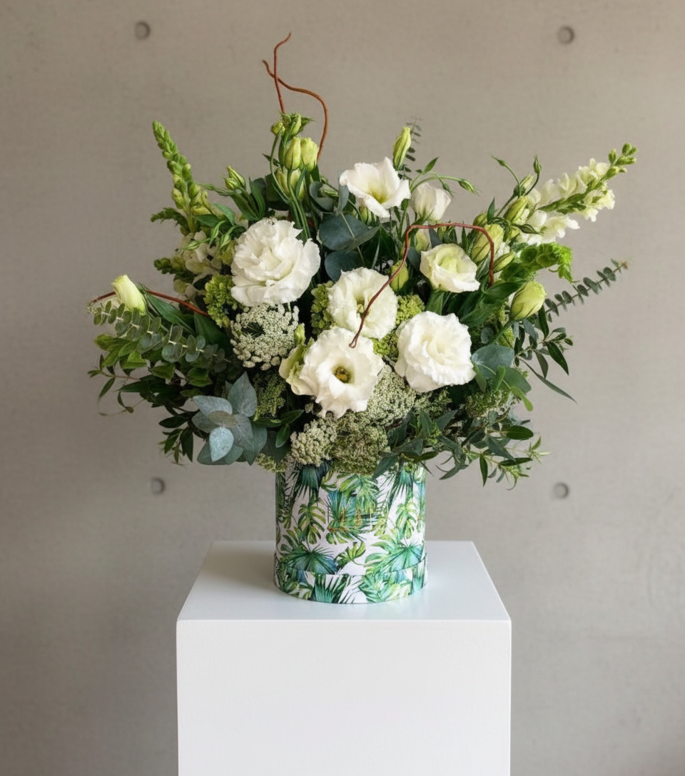 Box Selva Grande mix verdes