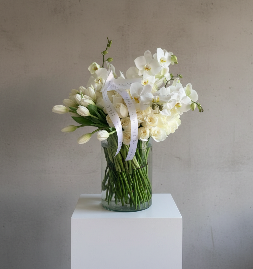 Romántico Blanco Tulipanes