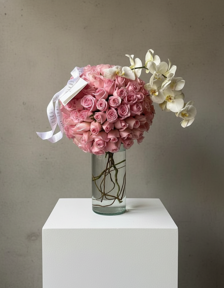 Esfera caricia + orquídea
