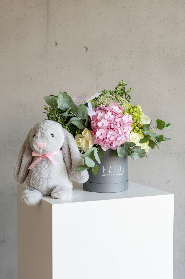 Box gris + Conejo