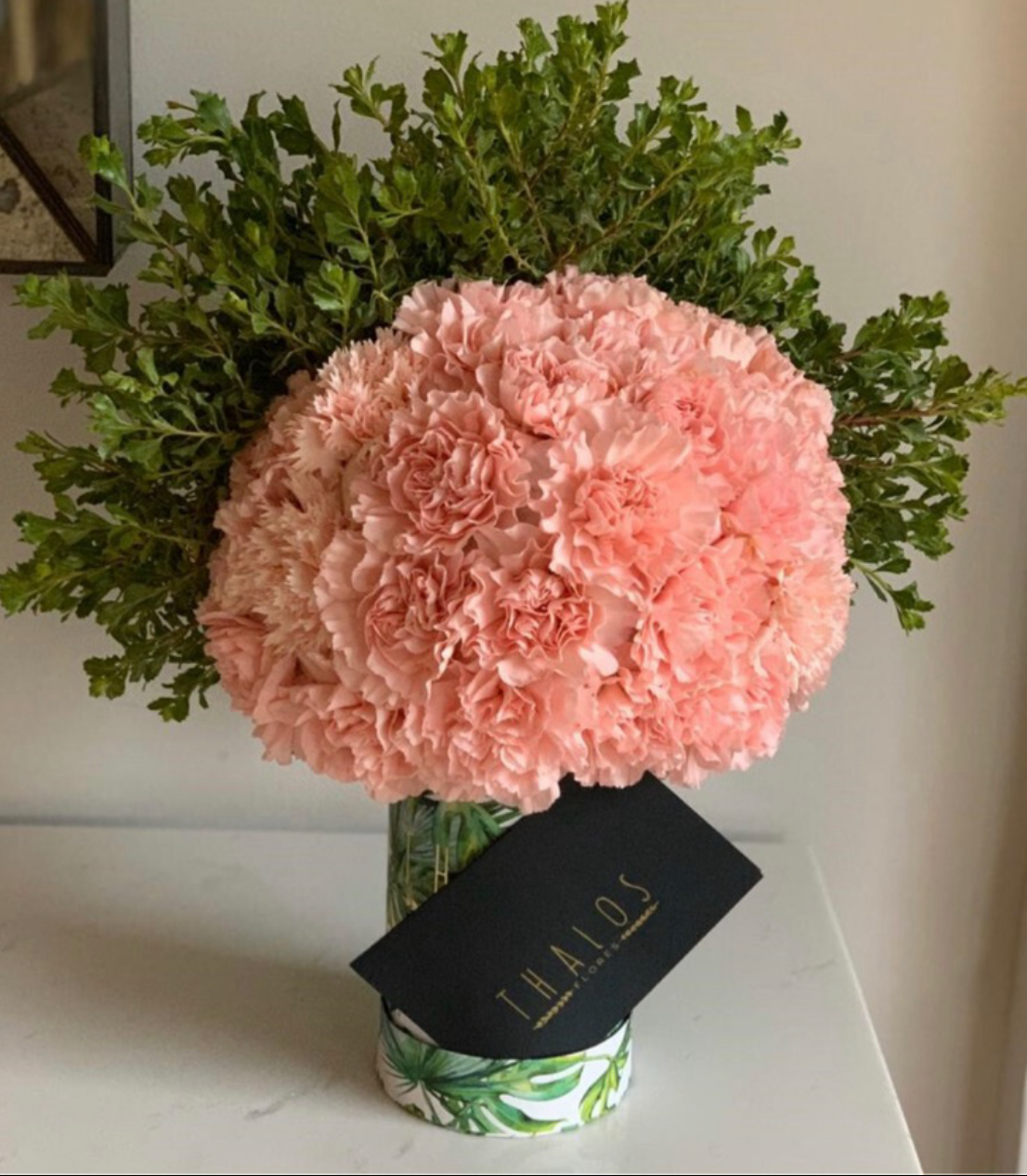 Box Selva Chico Clavel