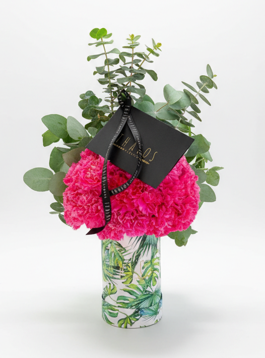 Box Selva Chico Clavel