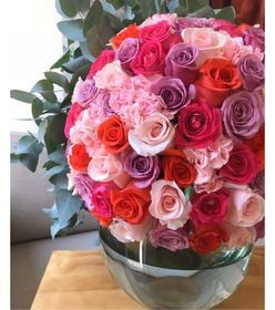 Media Esfera colores